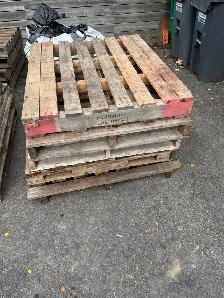 ==========SKIDS========== FREE===========