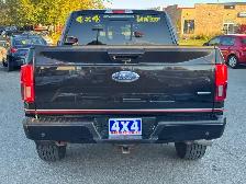 2019 Ford F-150 LARIAT SPECIAL EDITION 4X4 - Photo 6