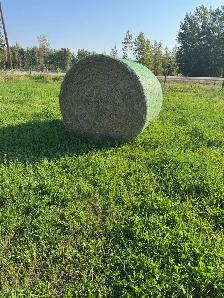 hay for sale - Photo 2