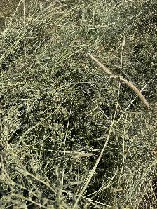 hay for sale - Photo 3