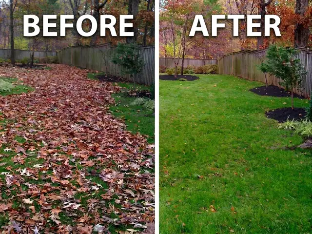 Fall Cleanup