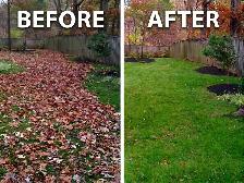 Fall Cleanup