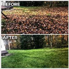 Fall Cleanup - Photo 2