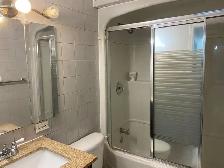 Beautiful 4-Bedroom Upper Unit for Rent Brampton - Photo 8