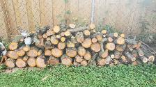 Camping Plum tree fire-wood avaiable.