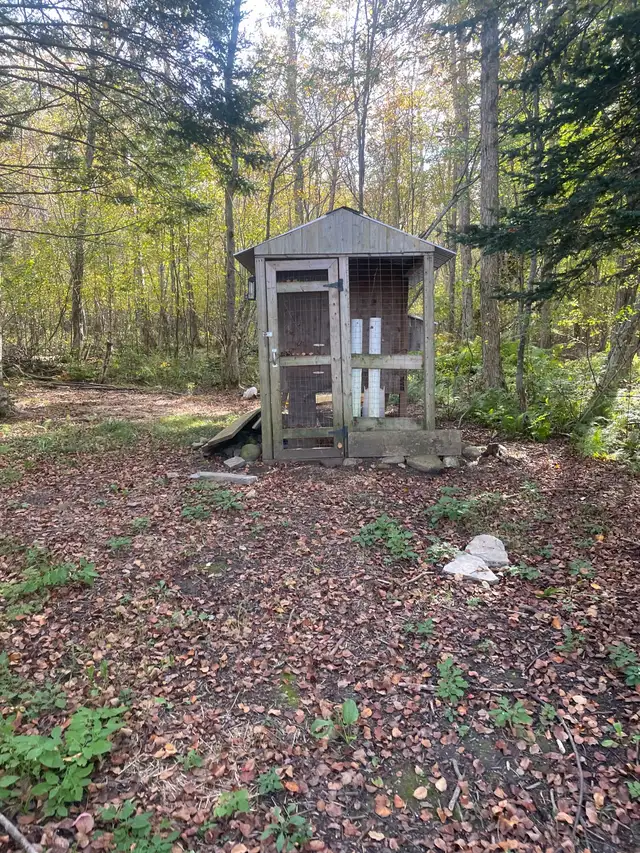 chicken coop