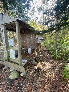 chicken coop - Photo 3