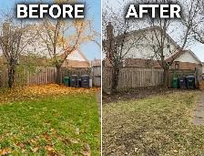 Leaf Removal - Photo 2