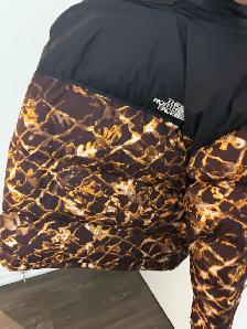 The North Face 1996 RetroNuptse 700 Down Jacket, in the brown/o - Photo 4