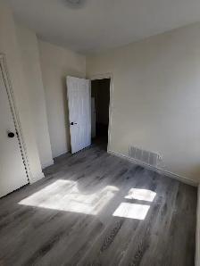 ($1250 fully renovated 1bedroomt on 1st floor apt.) - Photo 8