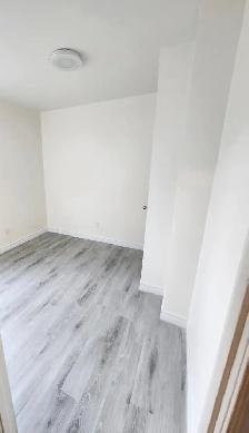 ($1250 fully renovated 1bedroomt on 1st floor apt.) - Photo 10