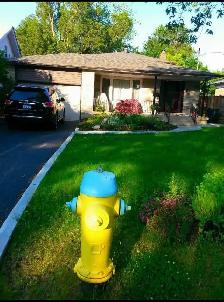 2 bedroom basement for rent - Photo 8