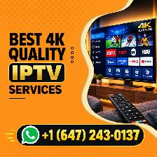 WORLD WIDE ENTERTAINMENT T\/ CHANNELS - ONE MONTH FREE