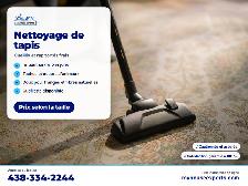 Nettoyage de tapis / Area Rug Cleaning – Cueillette offerte