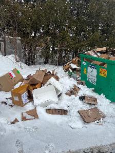 JUNK MUST GONOW613 407-9500 LOW PRICE TRUSTED 30 YEARS BRILAND - Photo 8