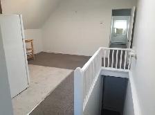 Cozy One Bedroom Apartment for Rent in Centretown - Photo 4