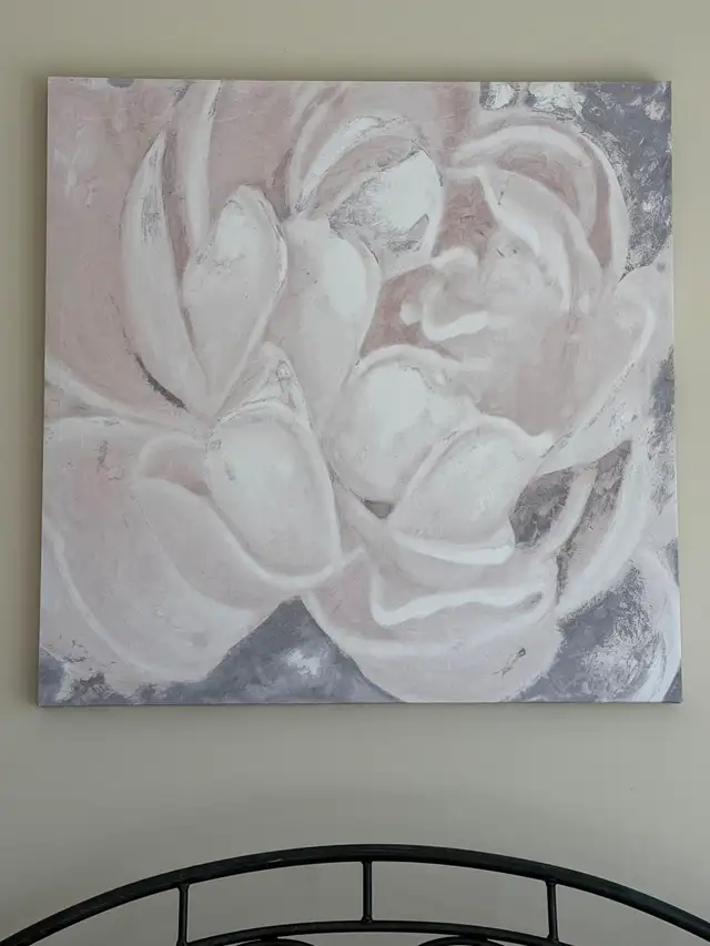 Picture only $20!