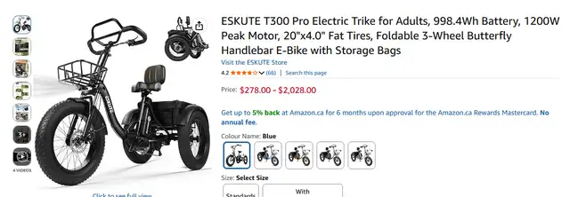 ESKUTE T300 Pro Electric Trike for Adults Foldable - must sell