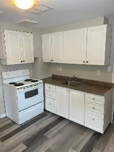 Raised Bungalow Basement Suite for Rent - Photo 2