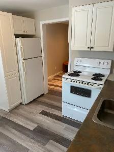Raised Bungalow Basement Suite for Rent - Photo 3