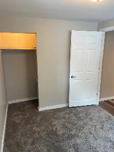 Raised Bungalow Basement Suite for Rent - Photo 6