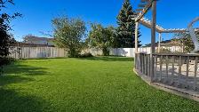 6,299 Sq Ft Duggan Lot with Renovated 5 Bed Bungalow - Photo 10