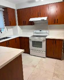 kitchen cabinet doors