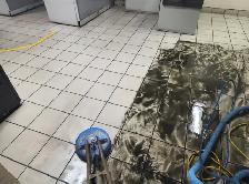 FLOOR RESTORATION HELPER / GENERAL LABOURER - Photo 11