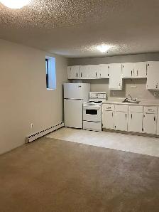 Downtown 1 Bedroom - Walk to U of S - Photo 4