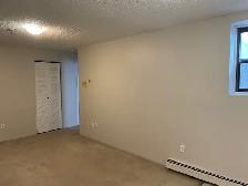 Downtown 1 Bedroom - Walk to U of S - Photo 5