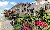 1-Bedroom in North Delta (88th/120th) - Oct 15/Nov 1