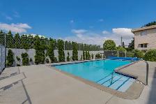 1-Bedroom in North Delta (88th/120th) - Oct 15/Nov 1 - Photo 4