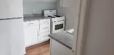 Bright 2-Bed Duplex Apartment with Sunroom | All Utilities Inclu - Photo 5