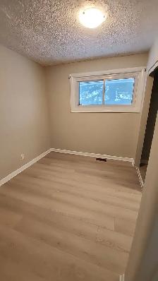 maison a louer ottaw 3 chambres - Photo 3