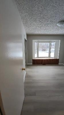 maison a louer ottaw 3 chambres - Photo 6