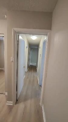 maison a louer ottaw 3 chambres - Photo 9