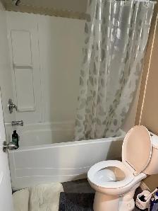 Basement for Rent in Calgary NE