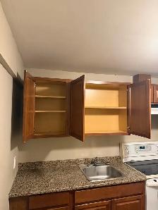 Basement for Rent in Calgary NE - Photo 3