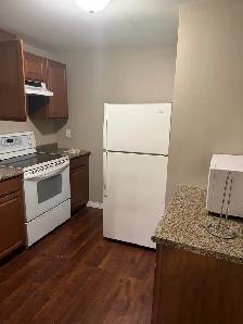 Basement for Rent in Calgary NE - Photo 4
