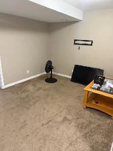 Basement for Rent in Calgary NE - Photo 8