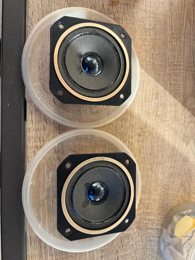 Vintage Japan Tweeter pair