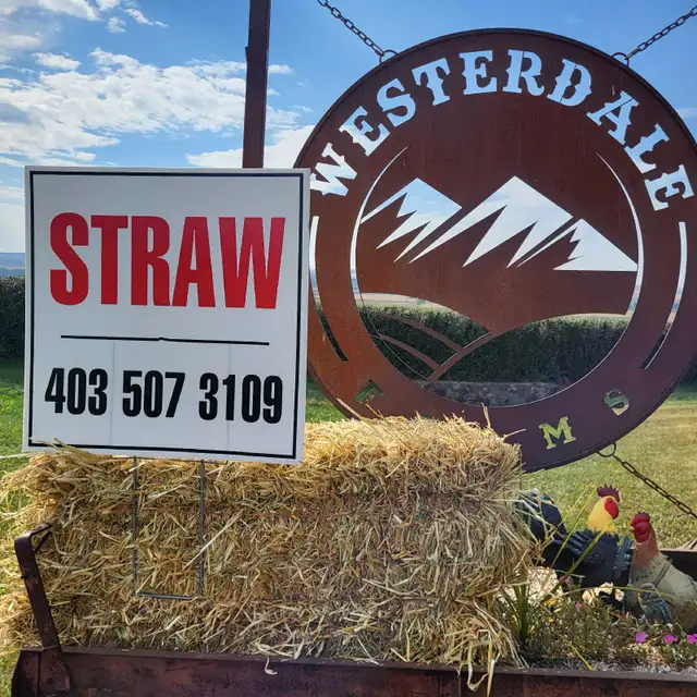 Small barley straw bales