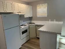 One B/R apartment for rent in Beltline (downtown) Calgary