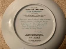 Trish Romance, Star of Wonder, Numbered Plate - Photo 3