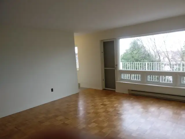 Bright Studio Apartment