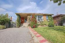 BRIGHT BASEMENT FOR RENT