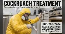 Cockroach removal - Pest Control & Animal Removal