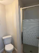 Unique 2 bedroom home in the heart of Riversdale - Photo 12