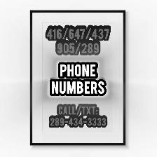 Any Area Code Phone Numbers Memorable Vip Phone Numbers
