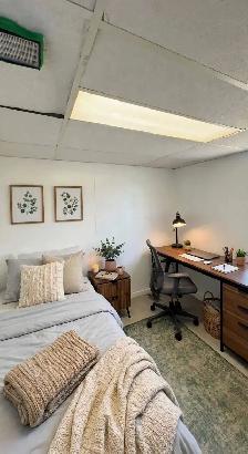 Basement Bedroom w/Separate Entrance. 5 mins to Western - Photo 3
